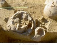 Cronica Cercetărilor Arheologice din România, Campania 2006. Raportul nr. 106