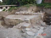 Cronica Cercetărilor Arheologice din România, Campania 2006. Raportul nr. 109