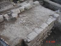 Cronica Cercetărilor Arheologice din România, Campania 2006. Raportul nr. 109