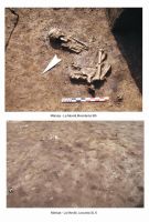 Cronica Cercetărilor Arheologice din România, Campania 2006. Raportul nr. 119