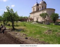 Cronica Cercetărilor Arheologice din România, Campania 2006. Raportul nr. 124
