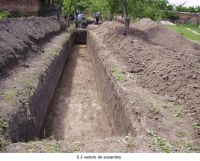 Cronica Cercetărilor Arheologice din România, Campania 2006. Raportul nr. 124