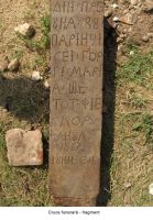 Cronica Cercetărilor Arheologice din România, Campania 2006. Raportul nr. 124