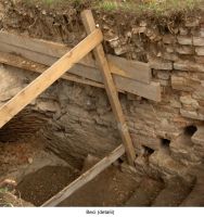 Cronica Cercetărilor Arheologice din România, Campania 2006. Raportul nr. 124