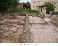 Cronica Cercetărilor Arheologice din România, Campania 2006. Raportul nr. 124