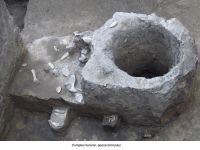 Cronica Cercetărilor Arheologice din România, Campania 2006. Raportul nr. 124