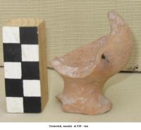 Cronica Cercetărilor Arheologice din România, Campania 2006. Raportul nr. 124