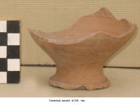 Cronica Cercetărilor Arheologice din România, Campania 2006. Raportul nr. 124