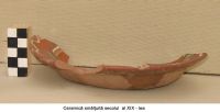 Cronica Cercetărilor Arheologice din România, Campania 2006. Raportul nr. 124