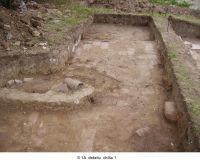 Cronica Cercetărilor Arheologice din România, Campania 2006. Raportul nr. 124