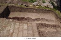 Cronica Cercetărilor Arheologice din România, Campania 2006. Raportul nr. 124