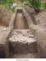 Cronica Cercetărilor Arheologice din România, Campania 2006. Raportul nr. 124