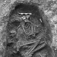 Cronica Cercetărilor Arheologice din România, Campania 2006. Raportul nr. 132