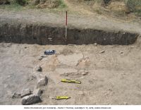 Cronica Cercetărilor Arheologice din România, Campania 2006. Raportul nr. 134