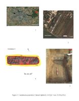 Cronica Cercetărilor Arheologice din România, Campania 2006. Raportul nr. 137