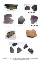 Cronica Cercetărilor Arheologice din România, Campania 2006. Raportul nr. 137