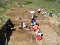 Cronica Cercetărilor Arheologice din România, Campania 2006. Raportul nr. 146