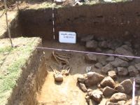 Cronica Cercetărilor Arheologice din România, Campania 2006. Raportul nr. 146