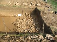 Cronica Cercetărilor Arheologice din România, Campania 2006. Raportul nr. 146