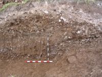 Cronica Cercetărilor Arheologice din România, Campania 2006. Raportul nr. 146