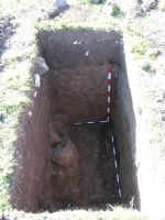 Cronica Cercetărilor Arheologice din România, Campania 2006. Raportul nr. 146