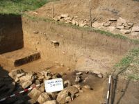 Cronica Cercetărilor Arheologice din România, Campania 2006. Raportul nr. 146