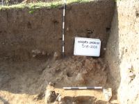Cronica Cercetărilor Arheologice din România, Campania 2006. Raportul nr. 146