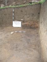 Cronica Cercetărilor Arheologice din România, Campania 2006. Raportul nr. 146