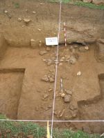 Cronica Cercetărilor Arheologice din România, Campania 2006. Raportul nr. 146