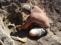 Cronica Cercetărilor Arheologice din România, Campania 2006. Raportul nr. 153