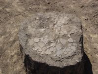 Cronica Cercetărilor Arheologice din România, Campania 2006. Raportul nr. 153