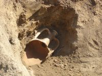 Cronica Cercetărilor Arheologice din România, Campania 2006. Raportul nr. 153