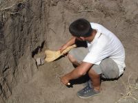 Cronica Cercetărilor Arheologice din România, Campania 2006. Raportul nr. 153