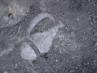 Cronica Cercetărilor Arheologice din România, Campania 2006. Raportul nr. 153