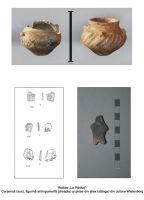 Cronica Cercetărilor Arheologice din România, Campania 2006. Raportul nr. 154