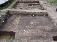 Cronica Cercetărilor Arheologice din România, Campania 2006. Raportul nr. 155