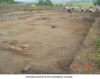Cronica Cercetărilor Arheologice din România, Campania 2006. Raportul nr. 156