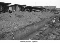 Cronica Cercetărilor Arheologice din România, Campania 2006. Raportul nr. 159
