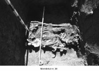Cronica Cercetărilor Arheologice din România, Campania 2006. Raportul nr. 159
