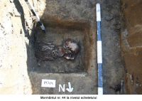 Cronica Cercetărilor Arheologice din România, Campania 2006. Raportul nr. 159