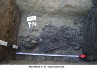 Cronica Cercetărilor Arheologice din România, Campania 2006. Raportul nr. 159