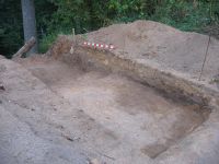 Cronica Cercetărilor Arheologice din România, Campania 2006. Raportul nr. 160