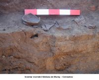 Cronica Cercetărilor Arheologice din România, Campania 2006. Raportul nr. 173