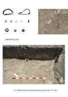 Cronica Cercetărilor Arheologice din România, Campania 2006. Raportul nr. 174