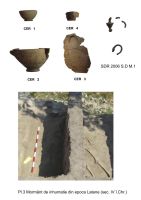 Cronica Cercetărilor Arheologice din România, Campania 2006. Raportul nr. 174