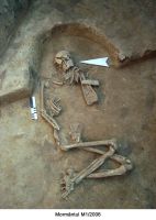 Cronica Cercetărilor Arheologice din România, Campania 2006. Raportul nr. 180