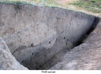 Cronica Cercetărilor Arheologice din România, Campania 2006. Raportul nr. 180