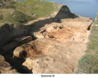 Cronica Cercetărilor Arheologice din România, Campania 2006. Raportul nr. 180