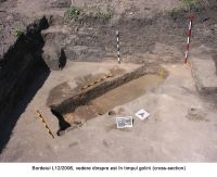 Cronica Cercetărilor Arheologice din România, Campania 2006. Raportul nr. 183