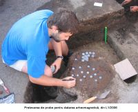 Cronica Cercetărilor Arheologice din România, Campania 2006. Raportul nr. 183